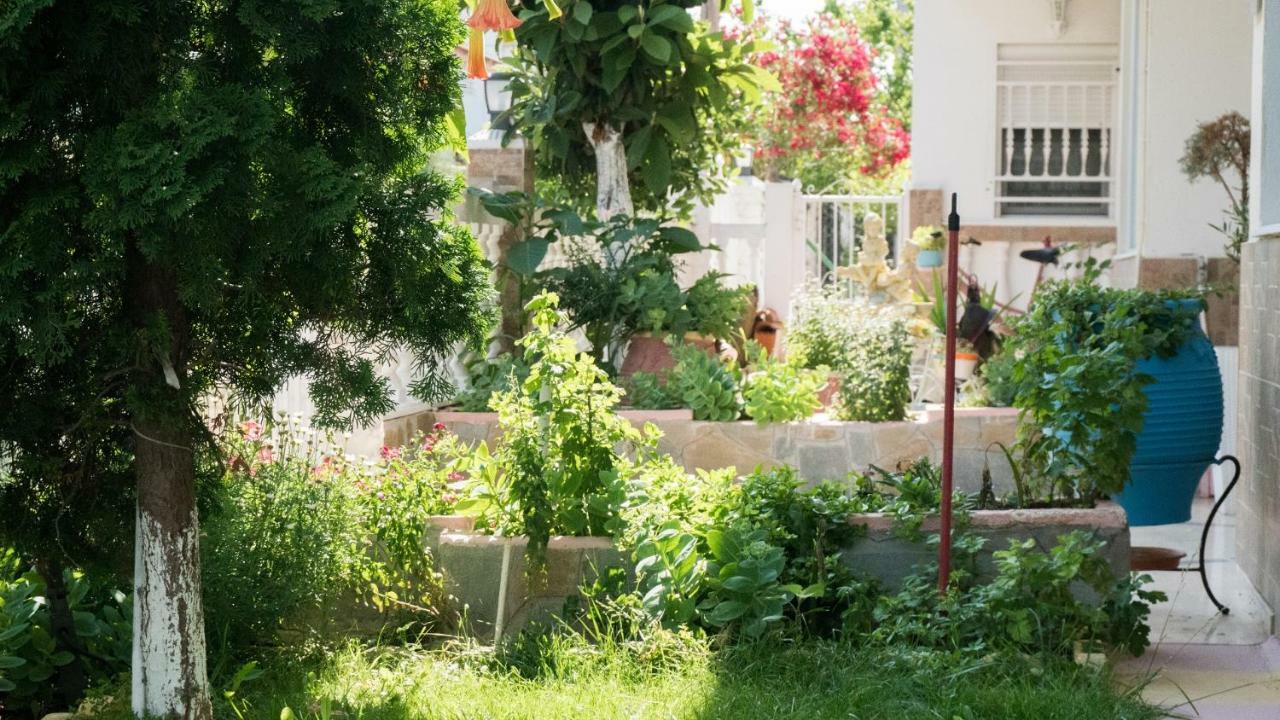 Niki Apartments Paralia Dionysiou Dış mekan fotoğraf