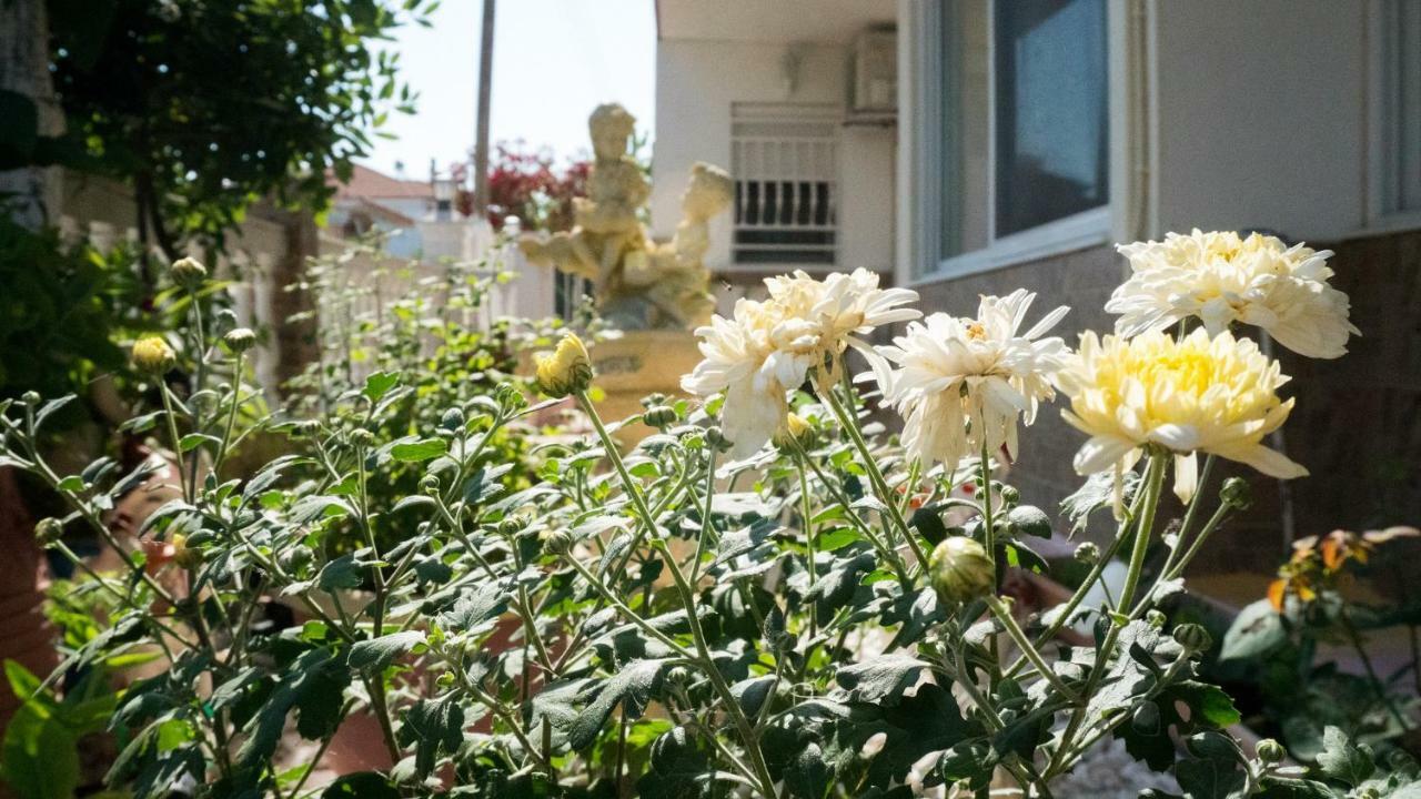 Niki Apartments Paralia Dionysiou Dış mekan fotoğraf